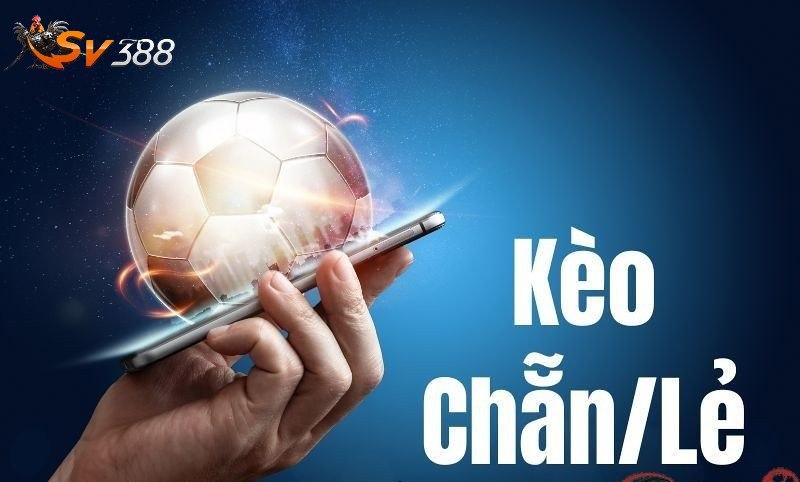 Khám phá các chương trình đào tạo hấp dẫn tại trường cao đẳng y hà nội trường cao đẳng y hà nội dành cho sinh viên ngành y