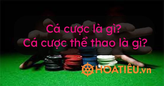 Khám phá trải nghiệm thú vị cùng Stampede Rush Trident trong thế giới giải trí trực tuyến