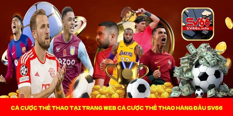 Khám phá Triple Stop và những điều thú vị về Triple Stop Mermaids Find