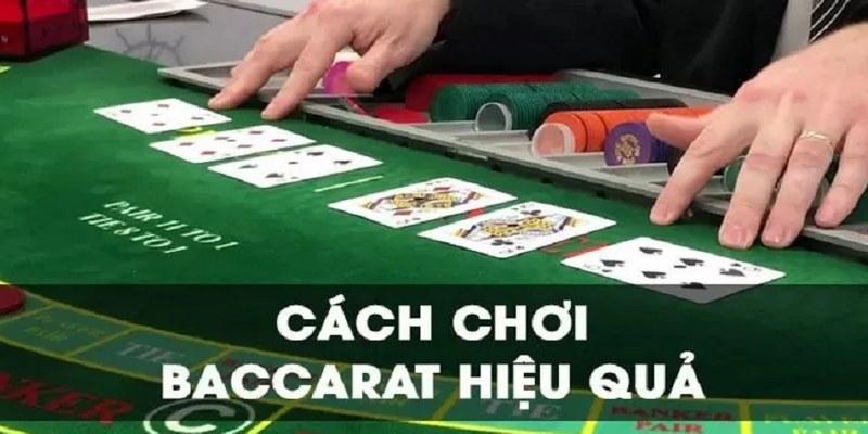 Khám phá bat danh bac o quang nam những cơ hội hấp dẫn cùng bat danh bac o quang nam