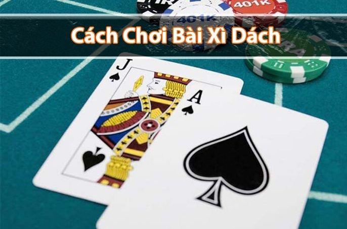 Bí quyết soi keo nhà cái nhận định chuẩn xác cho người mới bắt đầu